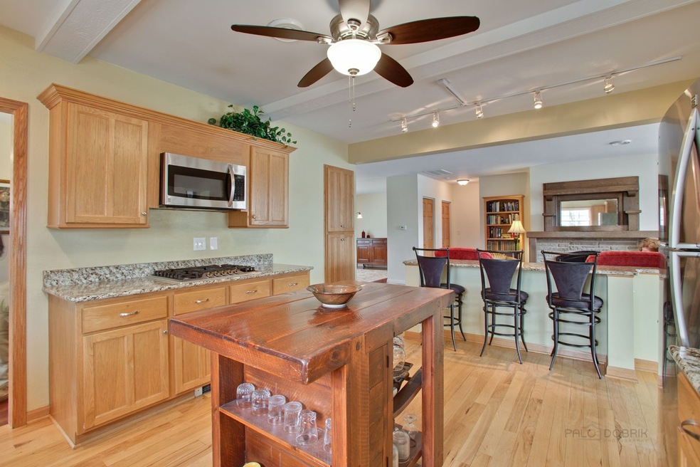 108 Hickory Rd, Lake In the Hills, IL 60156 - photo 1