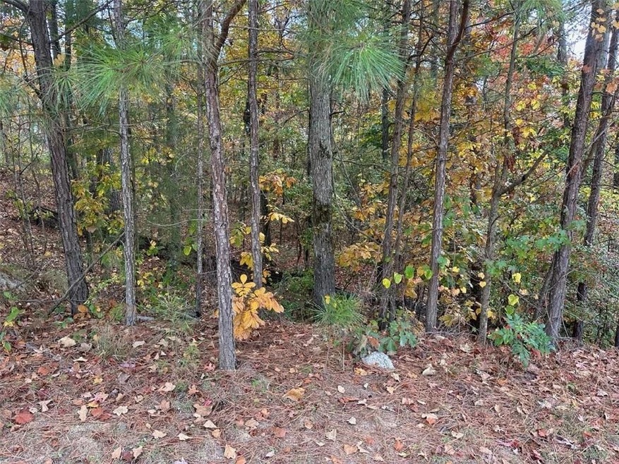 View of local wilderness