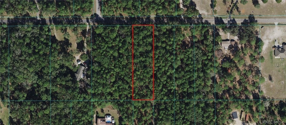 00000 SW 57th Place, Dunnellon, FL 34432 - photo 1