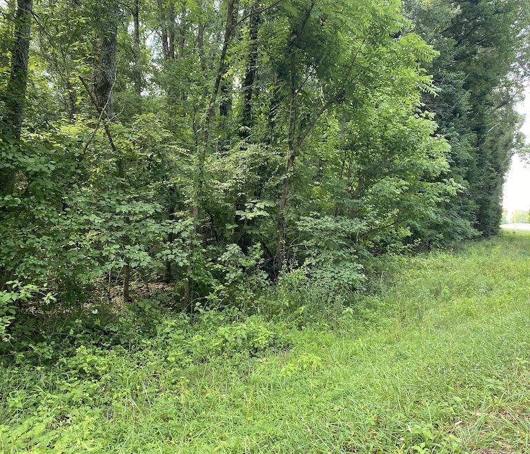 0 Prairie Chapel Rd, Decherd, TN 37324 MLS RTC2545278