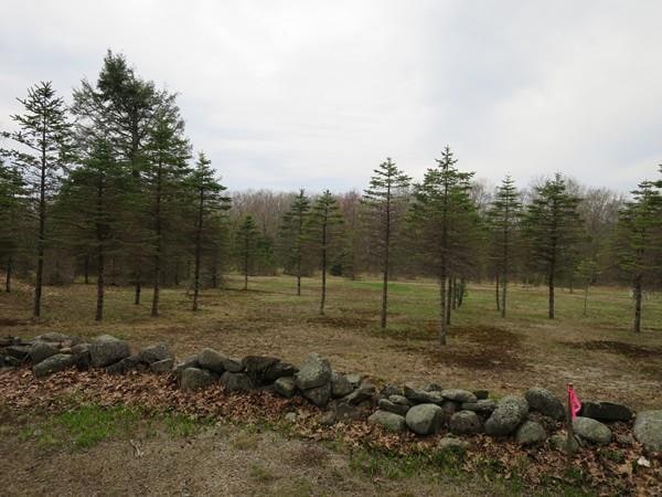 Lot 00 Moulton Hill Rd, Monson, MA 01057 - photo 1