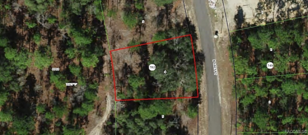 7430 N Galt Point, Citrus Springs, FL 34434 - photo 1