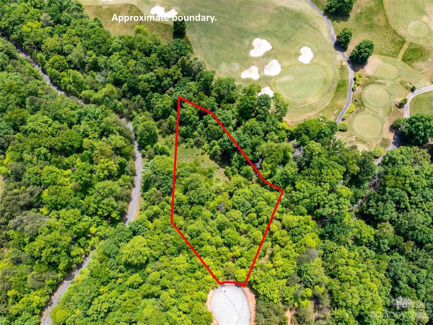 Lot 145 Wee Burn Cove, Mill Spring, NC 28756 - photo 1