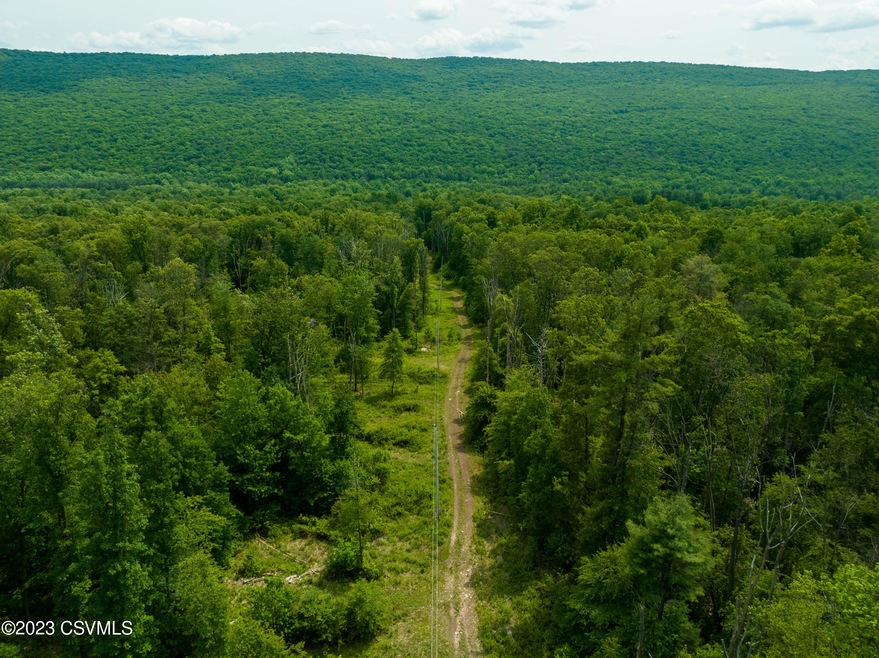 2298 Upper Rd, Shamokin, PA 17872 - photo 1