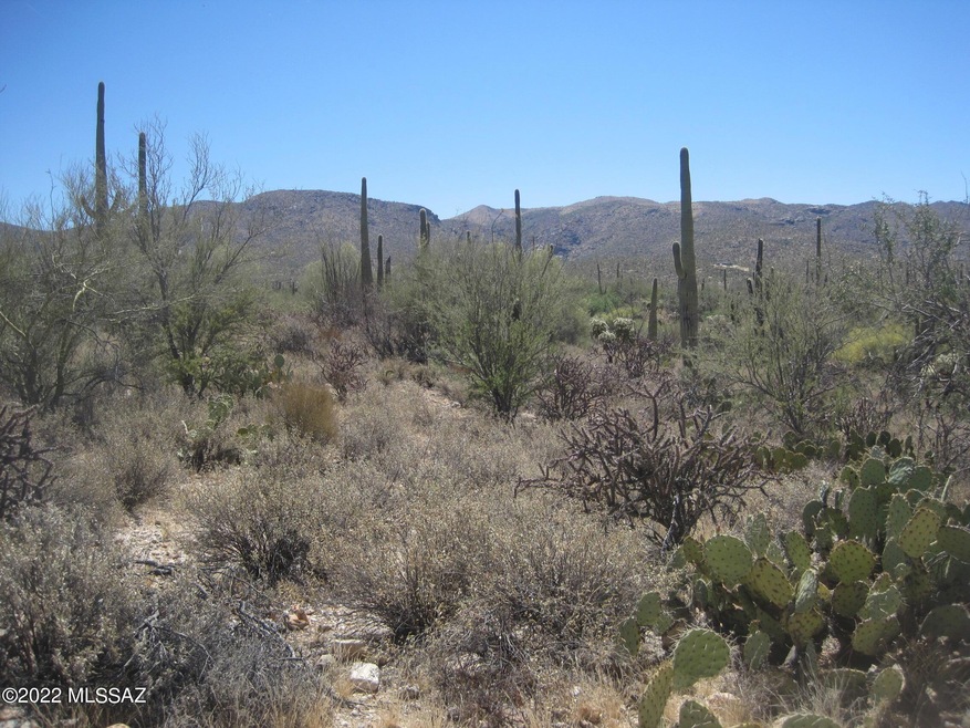 XX Derio, Marana, AZ 85658 - photo 1