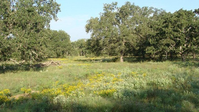 0 Hollmig Ln unit 68897, Fredericksburg, TX 78624 - photo 1