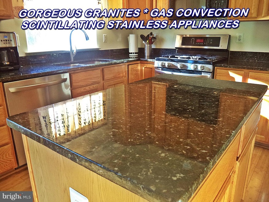 20916 Mountain Lake Terrace, Germantown, MD 20874 - photo 1