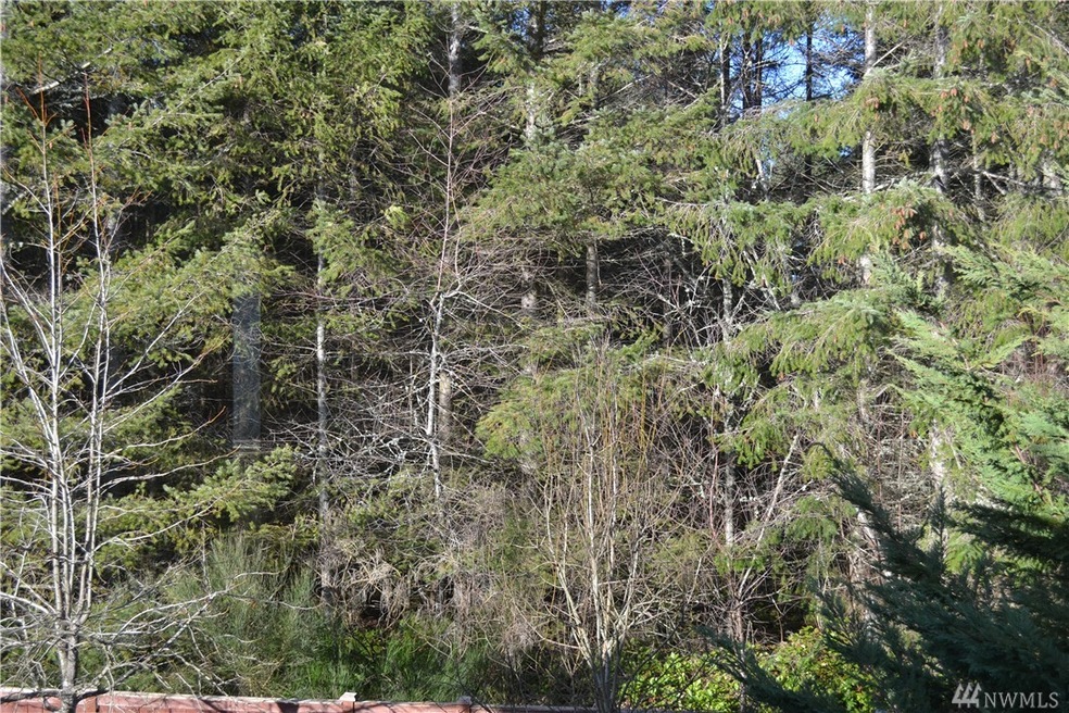 19921 207th Street Ct E, Orting, WA 98360 - photo 1