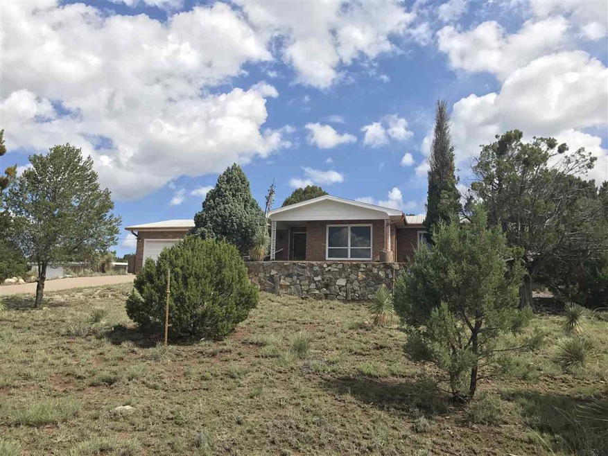 25 Rocky Creek Rd, Silver City, NM 88061 - photo 1