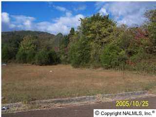 6390 Green Meadow Rd NW, Huntsville, AL 35810 - photo 1