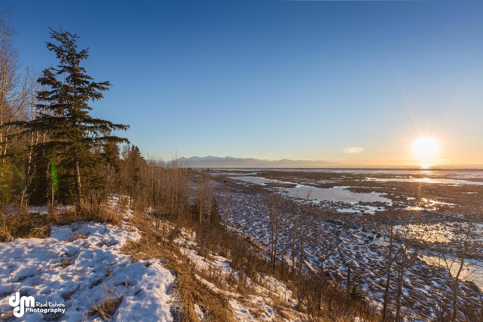 Resolution Pointe-print-005-View-4200x28