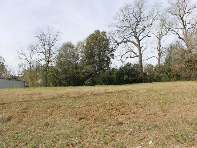 1302 Mlk Blvd, Americus, GA 31719 - photo 1