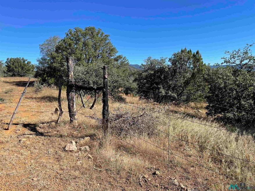 0 Xyz Ranch Rd unit 20225529, Silver City, NM 88061 - photo 1