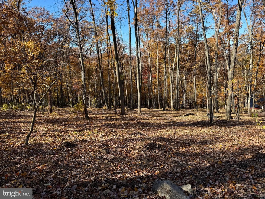 0 Digging Bear Ln unit VALO2111584, Purcellville, VA 20132 - photo 1