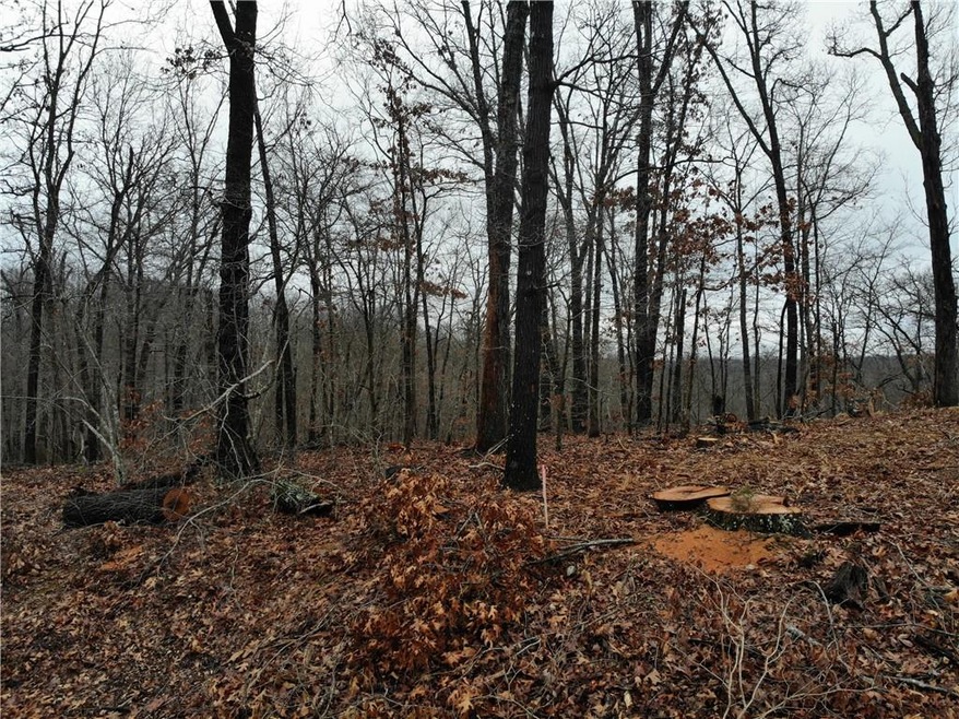 Lot 9 Pickering Dr, Bella Vista, AR 72714 - photo 1