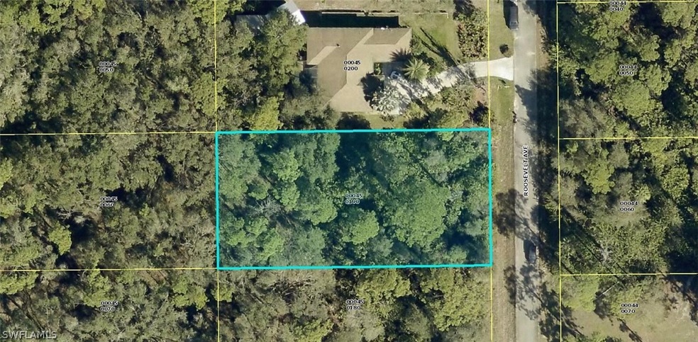 1913 Roosevelt Ave, Lehigh Acres, FL 33972 - photo 1