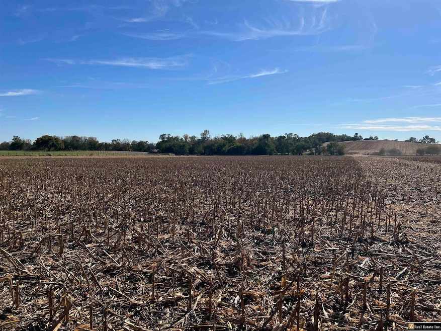 Parcel 3 Spring Saunders County Acreages County Rd, Yutan, NE 68073 - photo 1