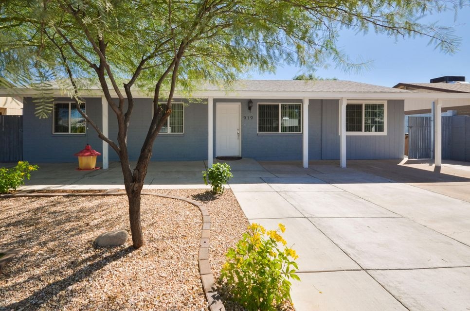 SaguaroDr-0522