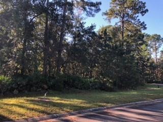 183 Bluebill Trail, Brunswick, GA 31523 - photo 1