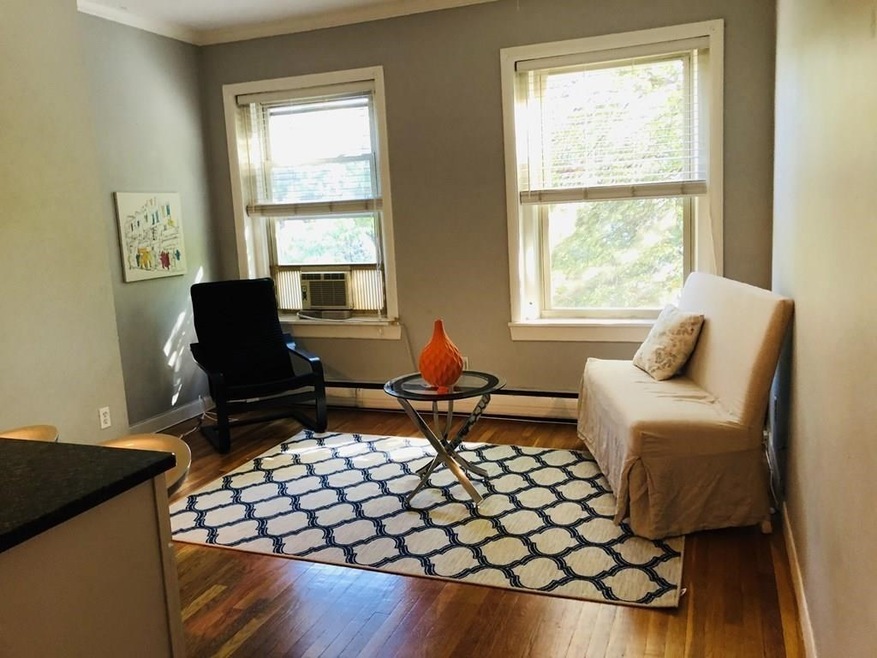 15-17 University Rd unit 35, Brookline, MA 02445 - photo 1