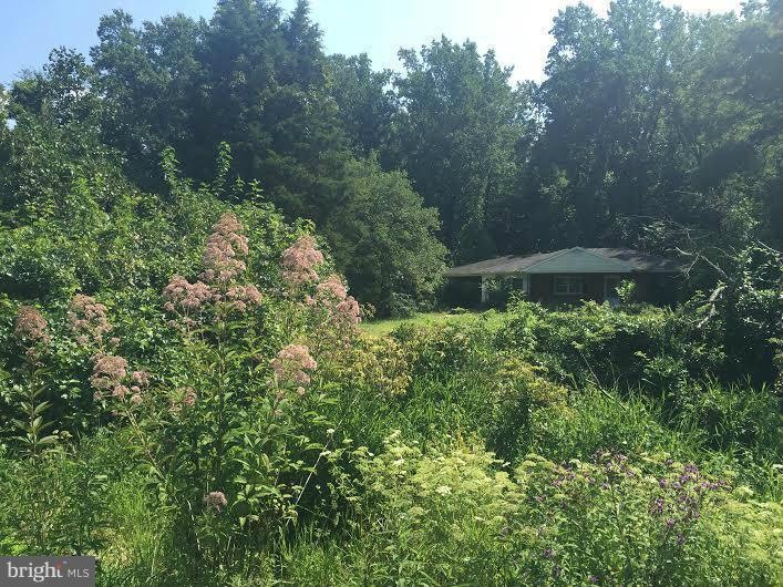 340 Brownsville Rd, Centreville, MD 21617 - photo 1