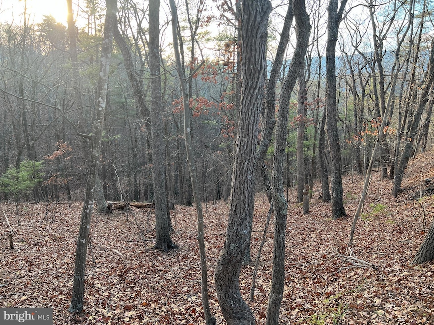 0 Straton Way unit VASH2013140, Basye, VA 22810 - photo 1