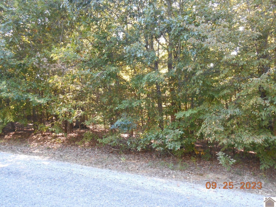0 Rivers End Ct unit Lot 121, Cadiz, KY 42211 - photo 1