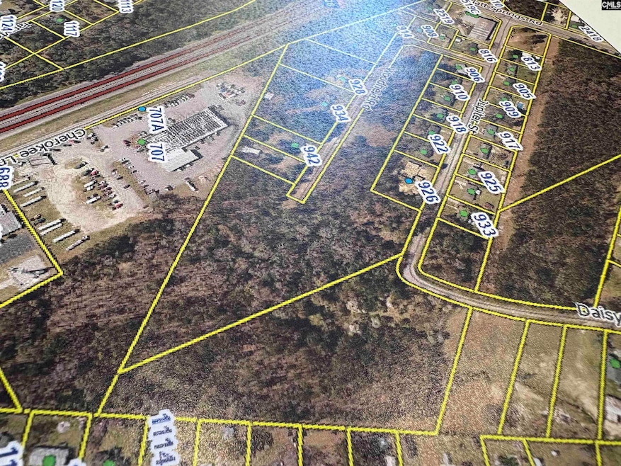 TBD Woodfield Jupiter & Daisey Track, West Columbia, SC 29169 - photo 1