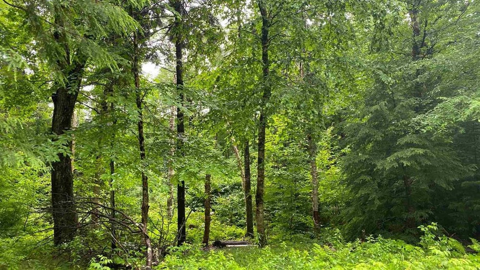 Lot 17 Village Rd E, Wilmington, VT 05363 - photo 1