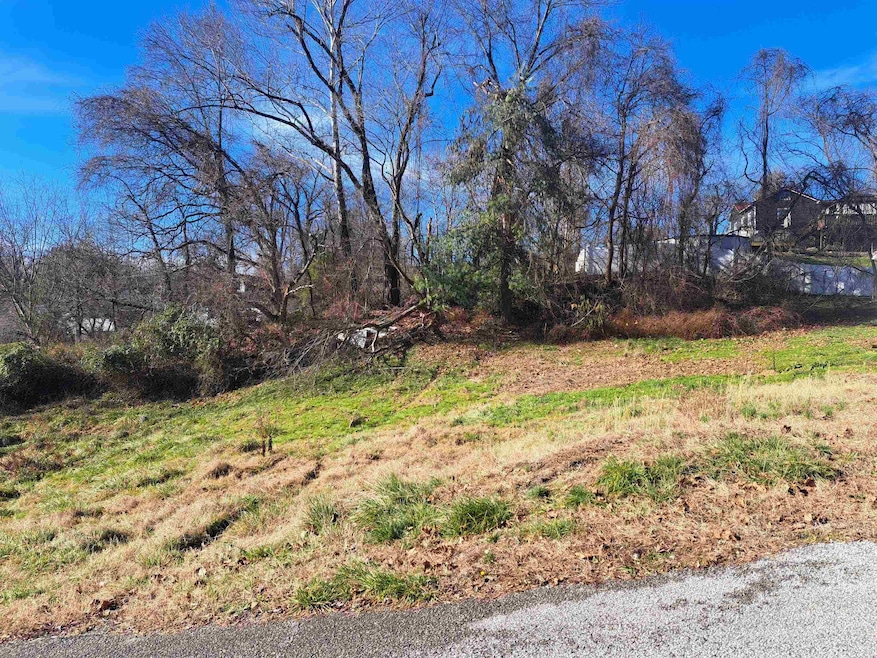 1721 Miller St, Ashland, KY 41101 - photo 1