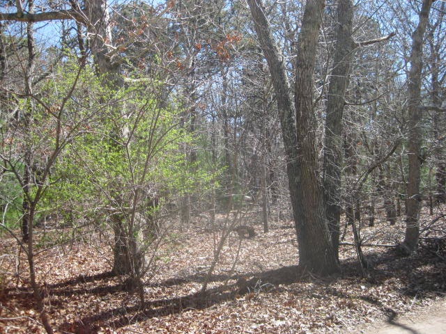 0 Cannahoot St, Oak Bluffs, MA 02568 - photo 1