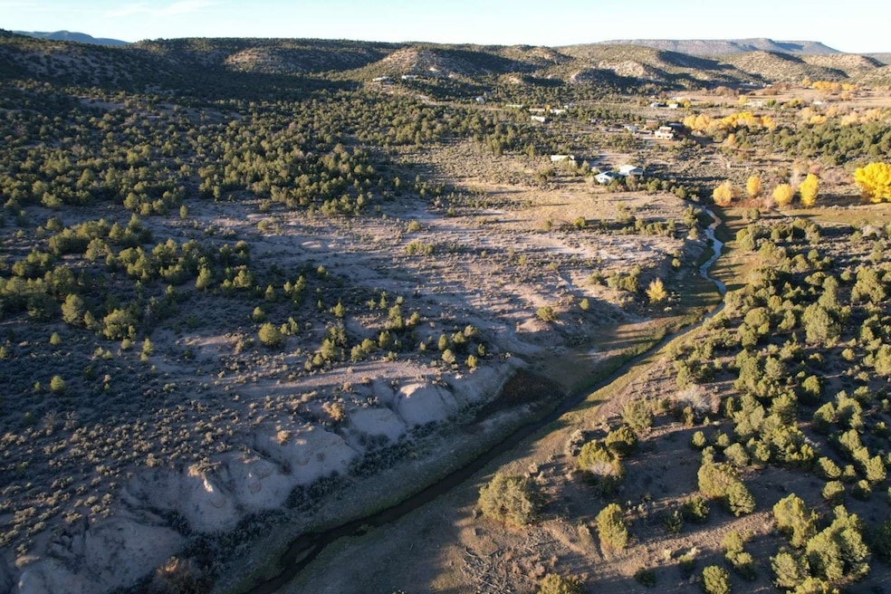 0 State Road 341 unit 202505052, Petaca, NM 87554 - photo 1