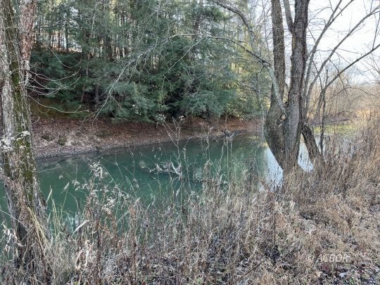Raccoon Creek