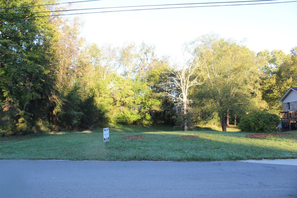 308 Dekalb St, McMinnville, TN 37110 - photo 1