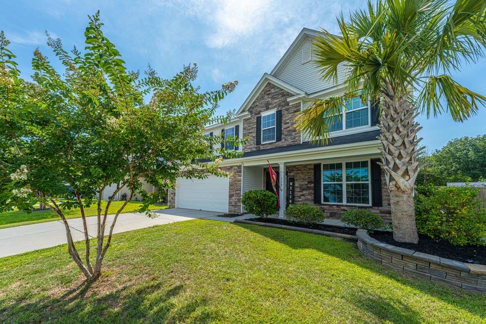 119 Weeping Cypress