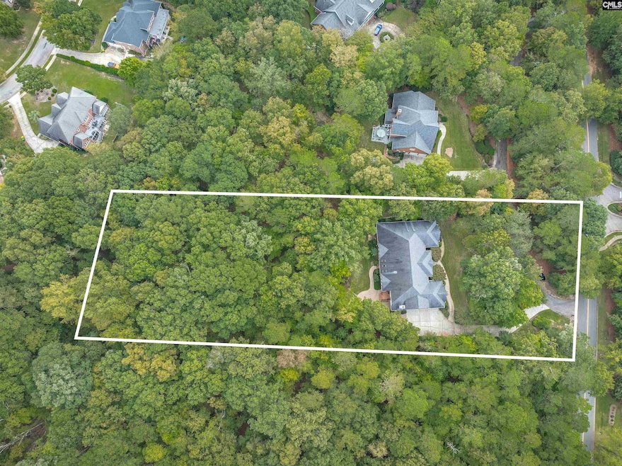 1300 Steeple Ridge Rd, Irmo, SC 29063 - photo 1