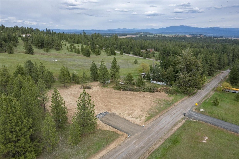 3520 W Woolard Rd, Colbert, WA 99005 - photo 1