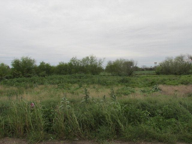 2307 Cypress Dr, Donna, TX 78537 - photo 1