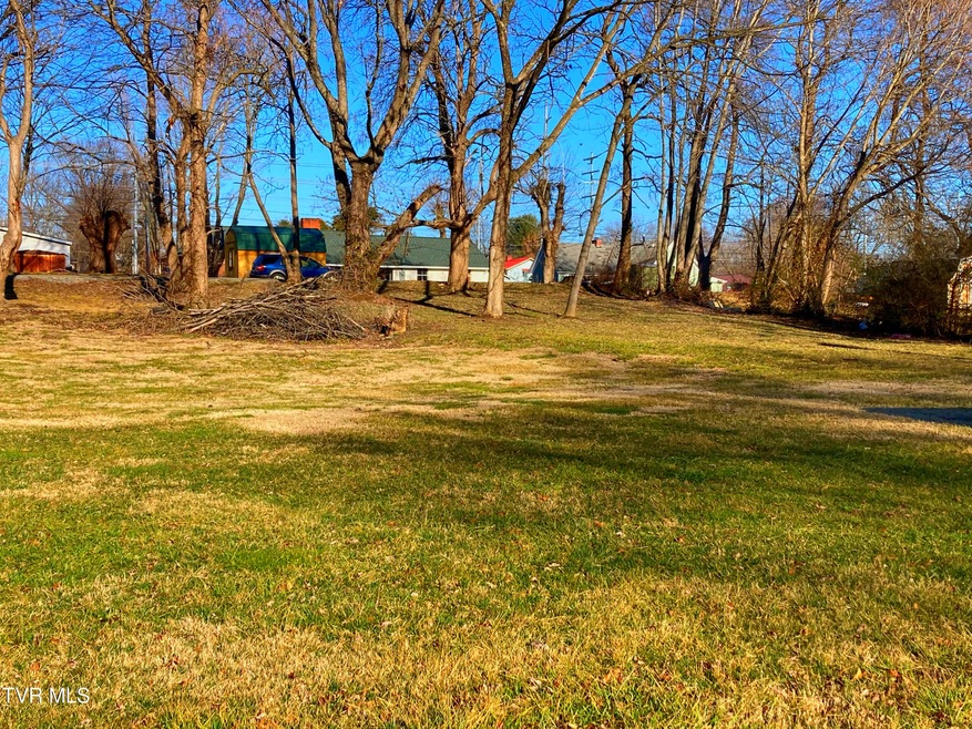 1411 E Millard St, Johnson City, TN 37601 - photo 1