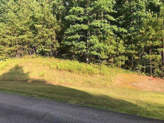 building lot across road from lake