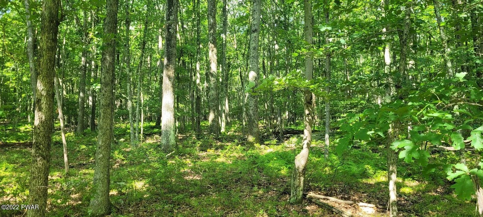 1033 Acacia Dr, Hawley, PA 18428 - photo 1