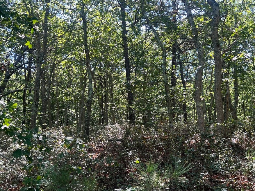 94 Lowell Rd, Mashpee, MA 2649 - photo 1