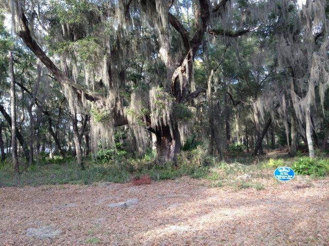 LT 18 Carnochan Bluff, Darien, GA 31305 - photo 1