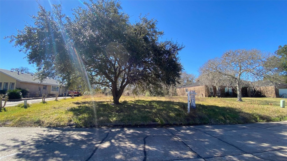 5410 Appleblossom Ln, Friendswood, TX 77546 - photo 1