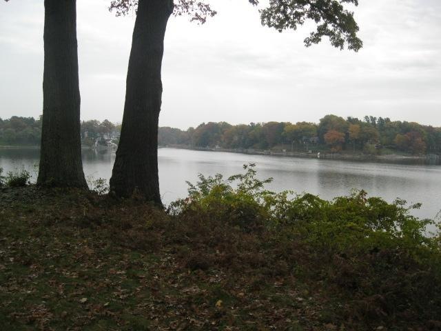 Primary Photo