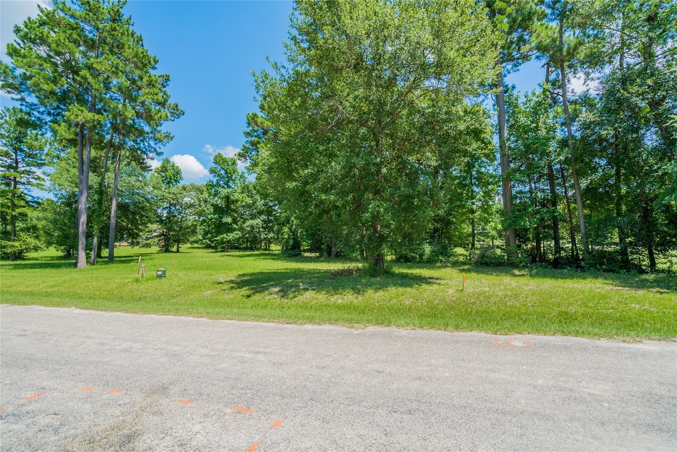 161 N Forest Dr, Huntsville, TX 77340 - photo 1