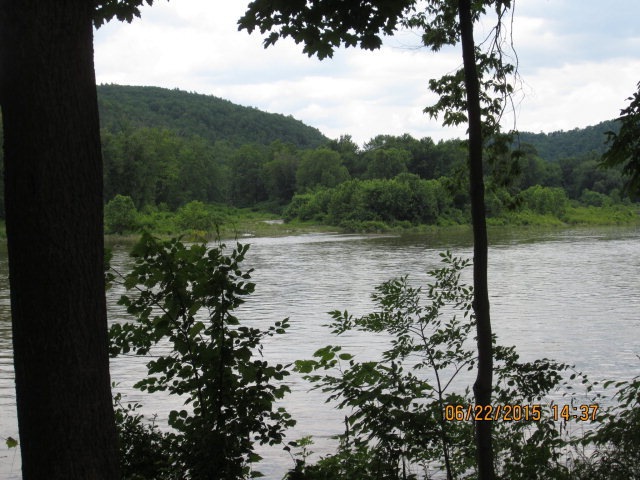 Main View