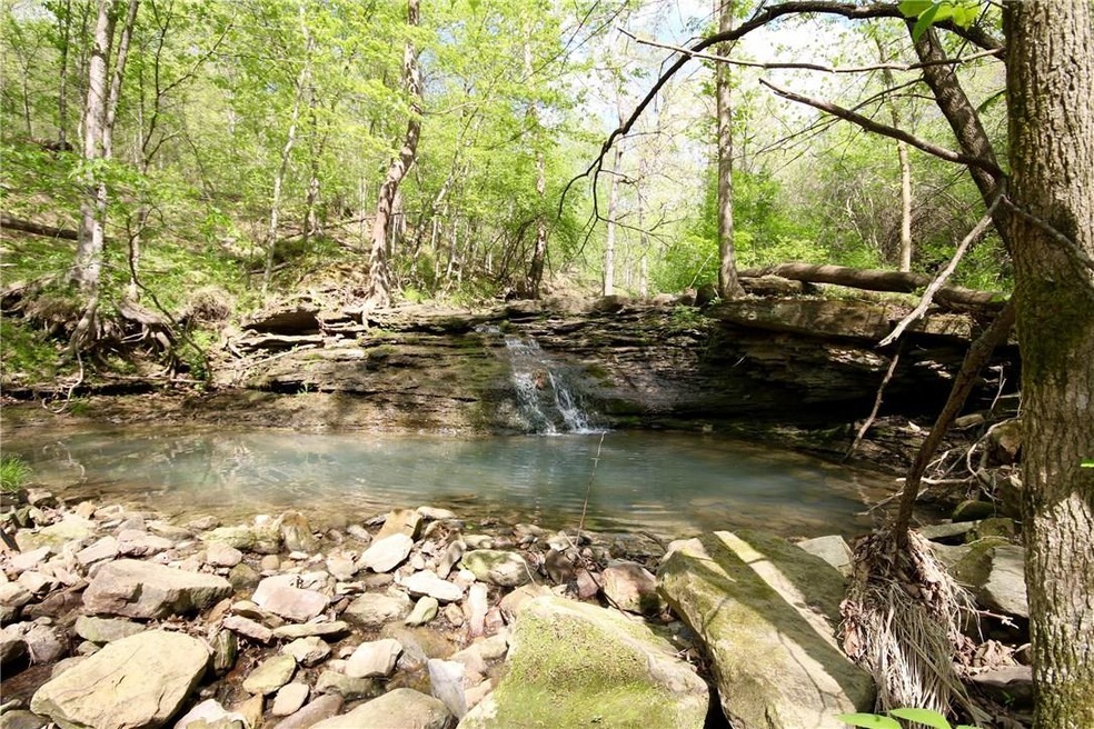 21291 Dollarhide Rd, Fayetteville, AR 72701 - photo 1