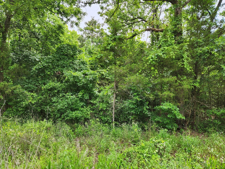 Land picture