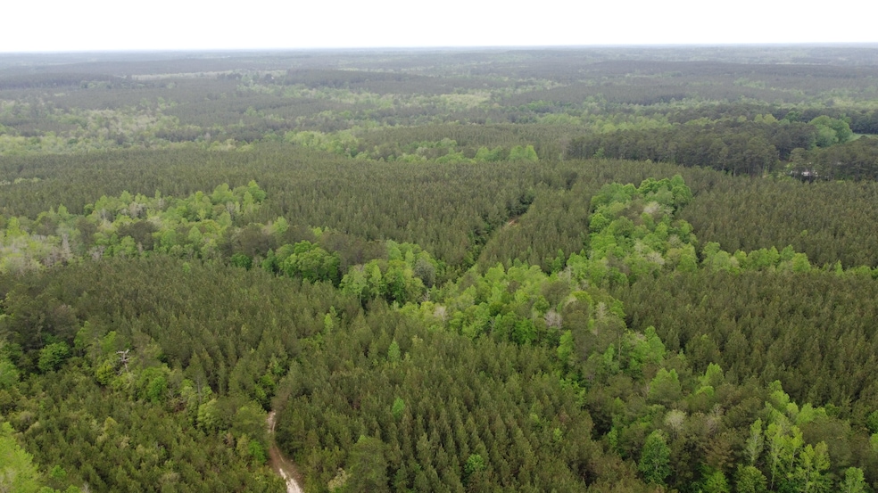 0 Pugh Rd, Shubuta, MS 39360 - photo 1